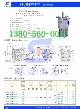 CBQTF-F550/F420-CFH AFPL双联齿轮油泵SAIYUAN合肥赛源液压CBQTF