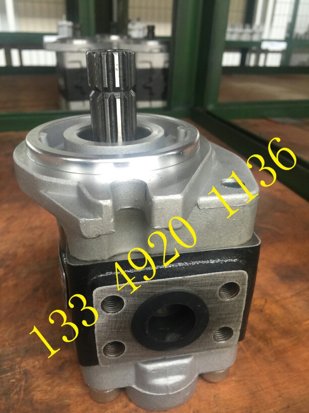 CBHZG-F36-ALH6L油泵SaiYuan