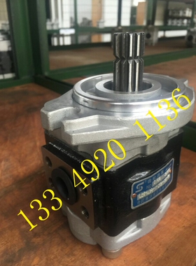 合肥赛源液压 齿轮油泵 HEFEI SAIYUAN CBHZB-F28.2-ATφL ATH6L
