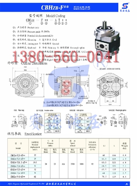 CBHZB-F36-ATφL、ATH6L 合肥赛源液压 齿轮泵 HEFEI SAIYUAN