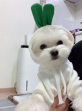 宠物狗狗猫咪春秋冬薄绒卫衣泰迪比熊小型犬青蛙水果连帽抽绳卫衣