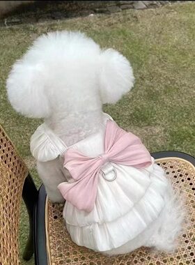 宠物狗狗仙德瑞拉公主裙宠物连衣裙礼服小猫咪马尔济斯春夏流光裙
