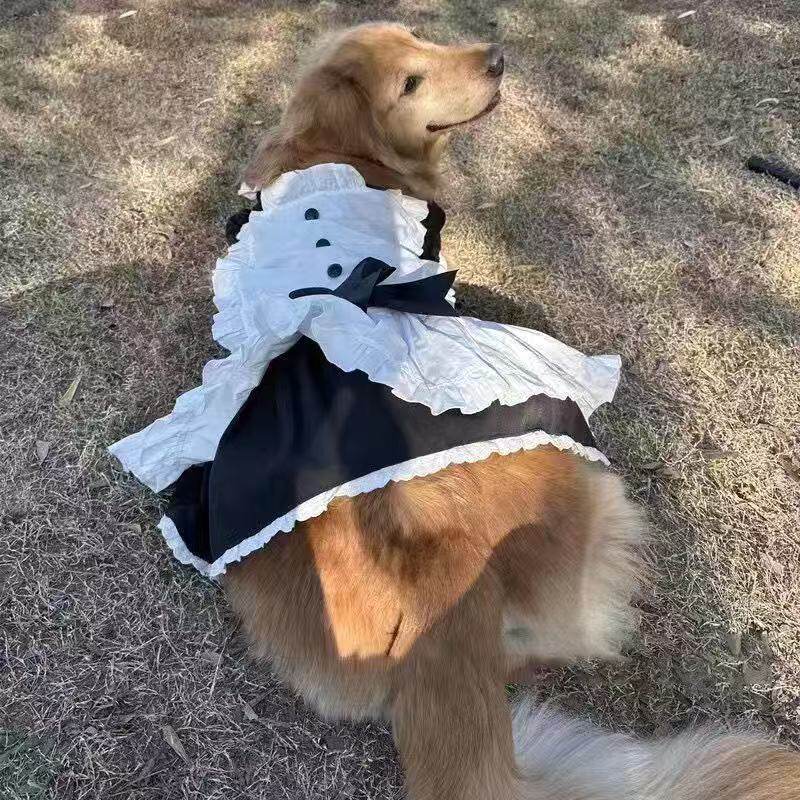 宠物大狗狗女仆裙中大型犬公主风衣围裙萨摩金毛可爱衣服