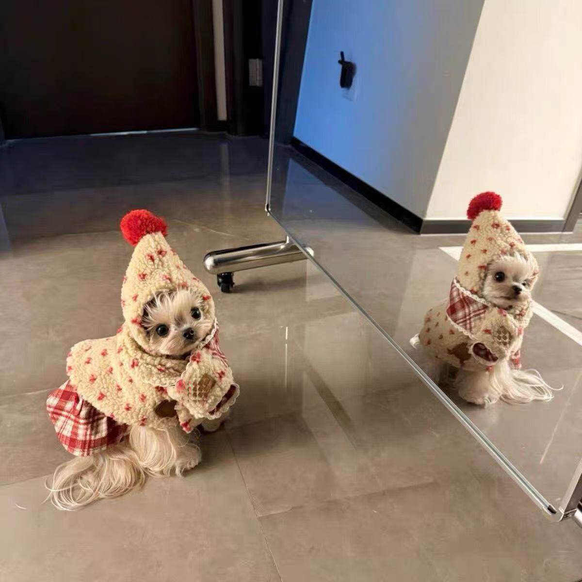 狗狗衣服秋冬装泰迪比熊博美小型犬宠物服装猫咪保暖加厚两脚衣