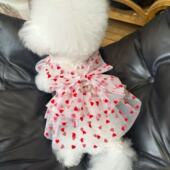 宠物猫咪狗狗春夏季 爱心纱裙蓬蓬裙狗狗猫咪公主礼服中小型犬 薄款