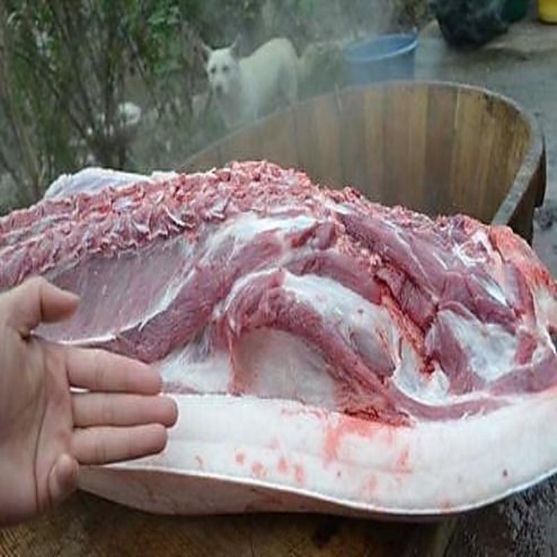 千岛湖高山散养新鲜土猪肉生猪肉