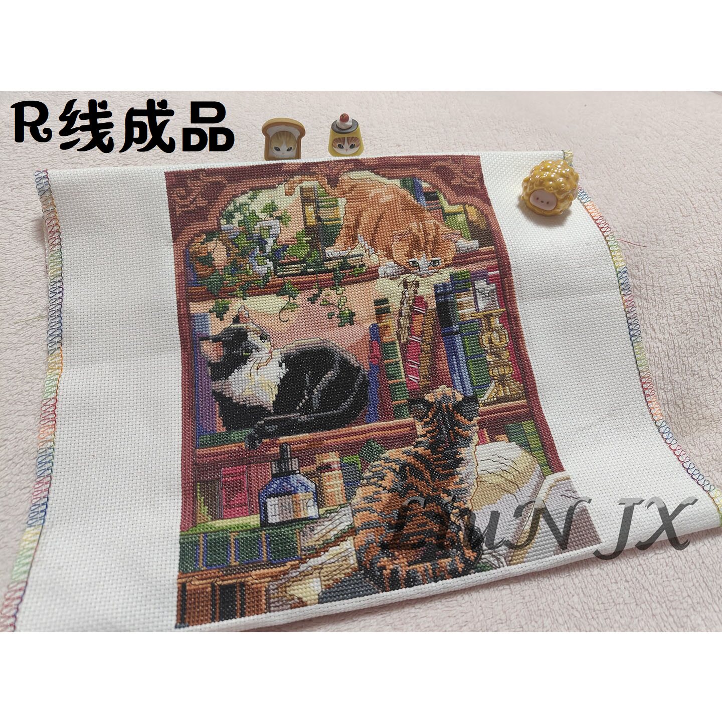 刘年锦绣 正品DMC线R线十字绣 非印花 JAN 书架上的猫 满绣