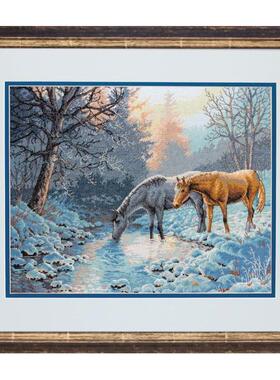 刘年锦绣 正品DMC线R线十字绣自配套件 Dim 35294