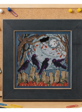 刘年锦绣正品DMC线R线十字绣自配套件非印花MH14-4204 不包含扣子