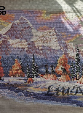 刘年锦绣 正品DMC线R线十字绣自配套件 非印花 DIM 13677