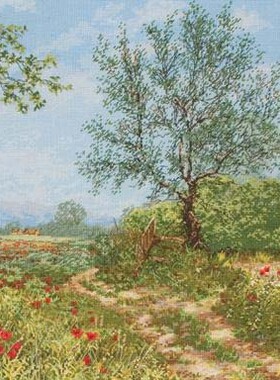 刘年锦绣正品德国ANC线十字绣自配套件非印花  蓝色记忆的山丘