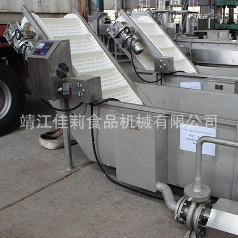 浮选机 鼓泡气泡清洗机 苹果梨桔子橙子果蔬清洗机