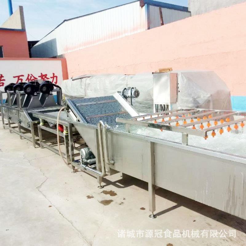 连续自动洗果机 葡萄干大枣气泡清洗机 红枣苹果翻转式清洗设备