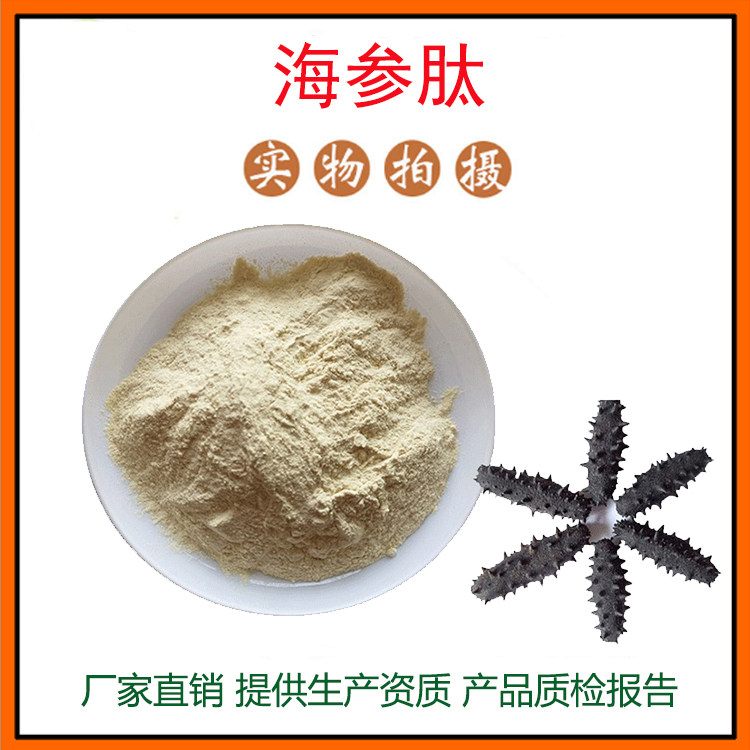海参提取物30:1 海参肽 海参冻干粉 海参粉 量大从优 现货包邮