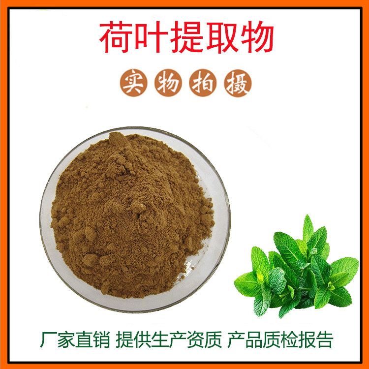 荷叶提取物30:1 荷叶粉 荷叶碱 量大从优 资质齐全 现货包邮