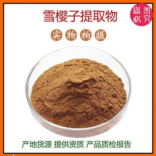 雪樱子提取物30:1 雪樱子浓缩粉 植物提取物 原料 包邮