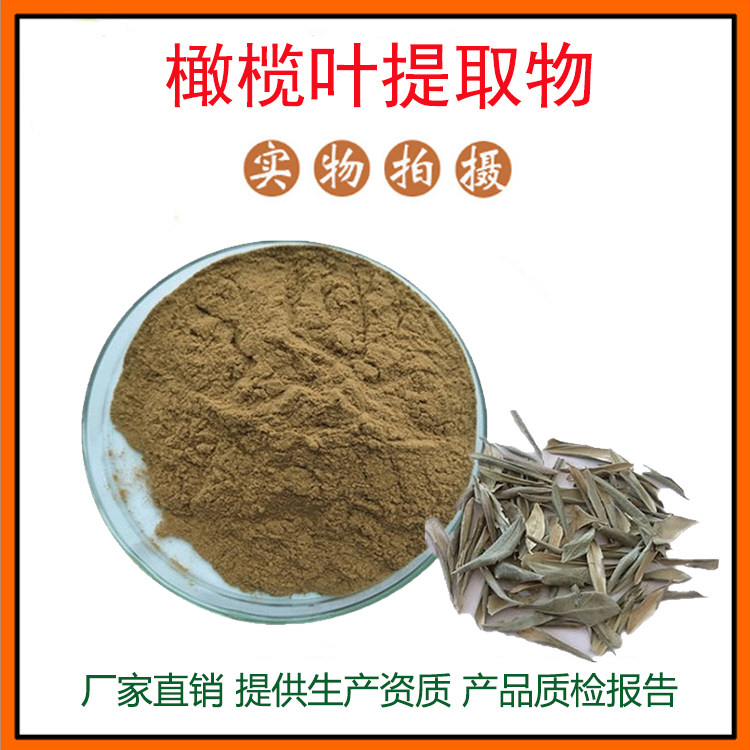 橄榄提取物30:1 橄榄果粉 橄榄叶提取物 橄榄苦甙 量大从优 包邮