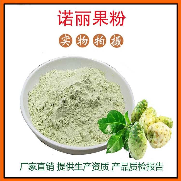 诺丽果提取物30:1 诺丽果酵浓缩料