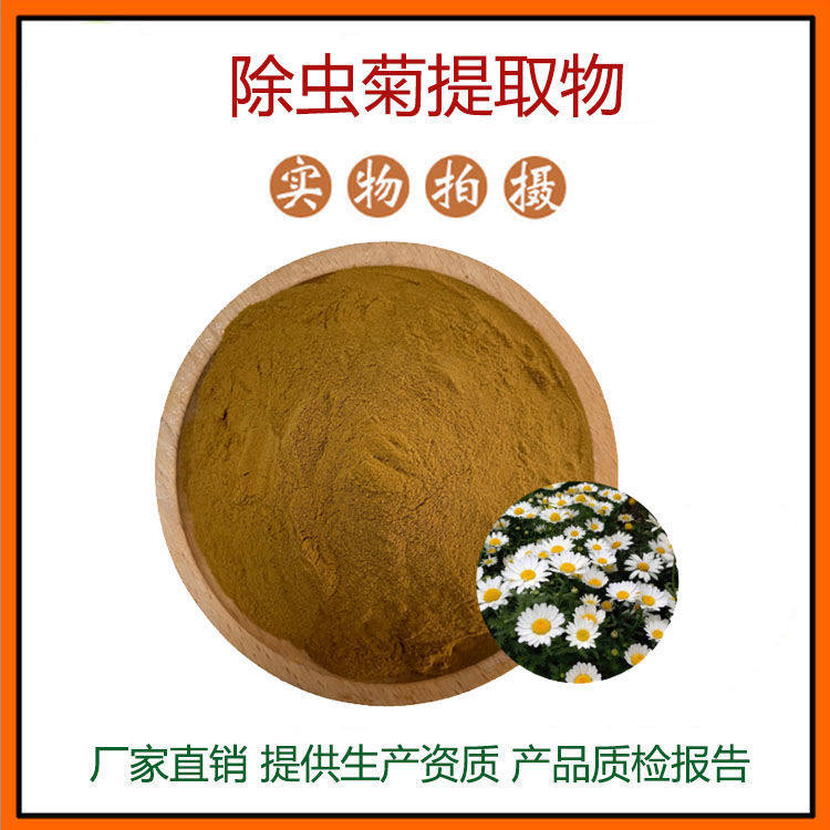 除虫菊提取物30:1 除虫菊内脂浓缩粉末 植物提取物 现货包邮