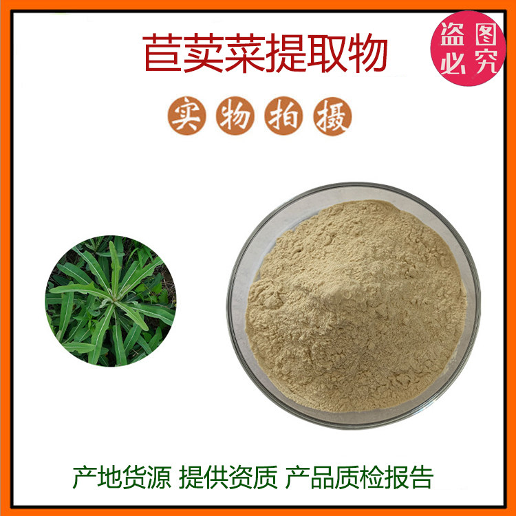 苣荬菜提取物30:1 苣荬菜粉 植物提取物 多种规格 量大优惠 包邮