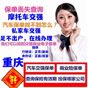 汽车私家车小车货车电车新能源查询电子保单10年免检调保单查违章