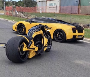 全国交强险电子保单汽车辆咨询商业电子保单找到投保公司和日期