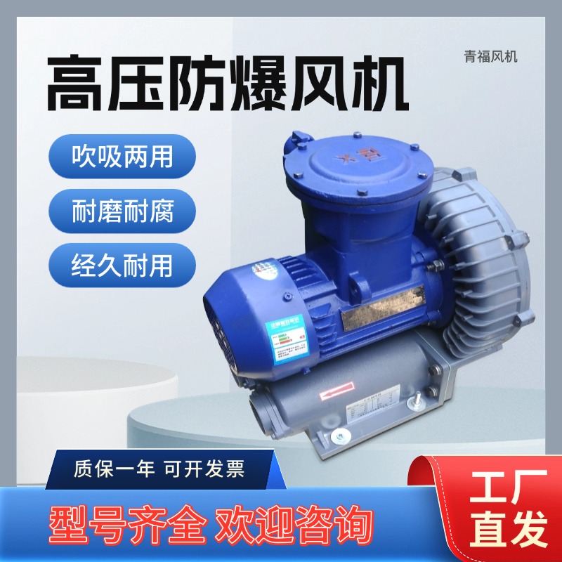 高压防爆鼓风机环形旋涡气泵