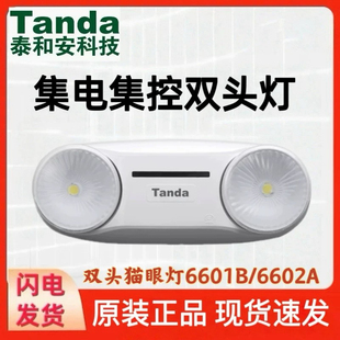 泰和安【36V】集中电源集中控制双头灯应急照明灯6602A 6601B