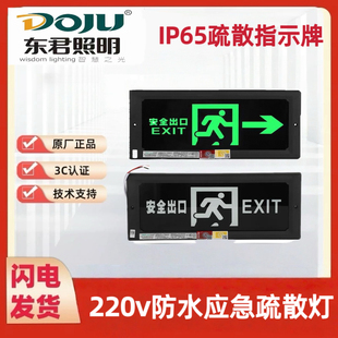 220V东君消防应急照明灯安全出口指示灯防水IP65疏散标志灯指示牌