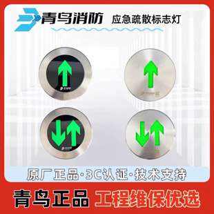 北大青鸟青鸟消防地埋灯地面标志灯地面疏散指示灯地埋灯预埋盒