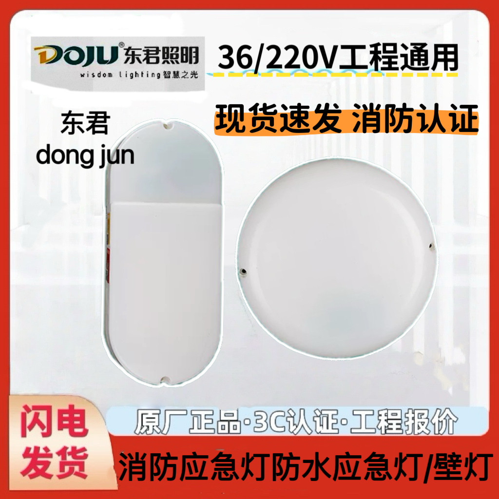 36V东君防水防潮消防应急图片