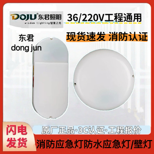 36V东君防水防潮消防应急吸顶灯室外IP65壁挂LED安全出口照明灯