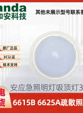 泰和安吸顶灯应急疏散照明灯6615B 6625A集电集控应急疏散照明灯
