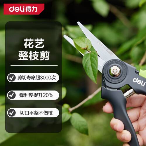 得力修枝剪尖刃 升级SK5钢果树剪花枝剪园艺修枝神器DL-YL0001