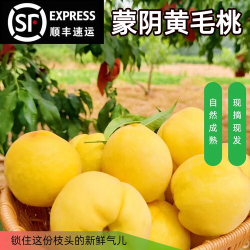蒙阴黄金蜜桃新鲜应季水果