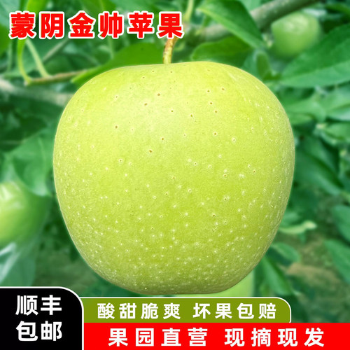 山东蒙阴金帅青苹果酸甜苹果新鲜