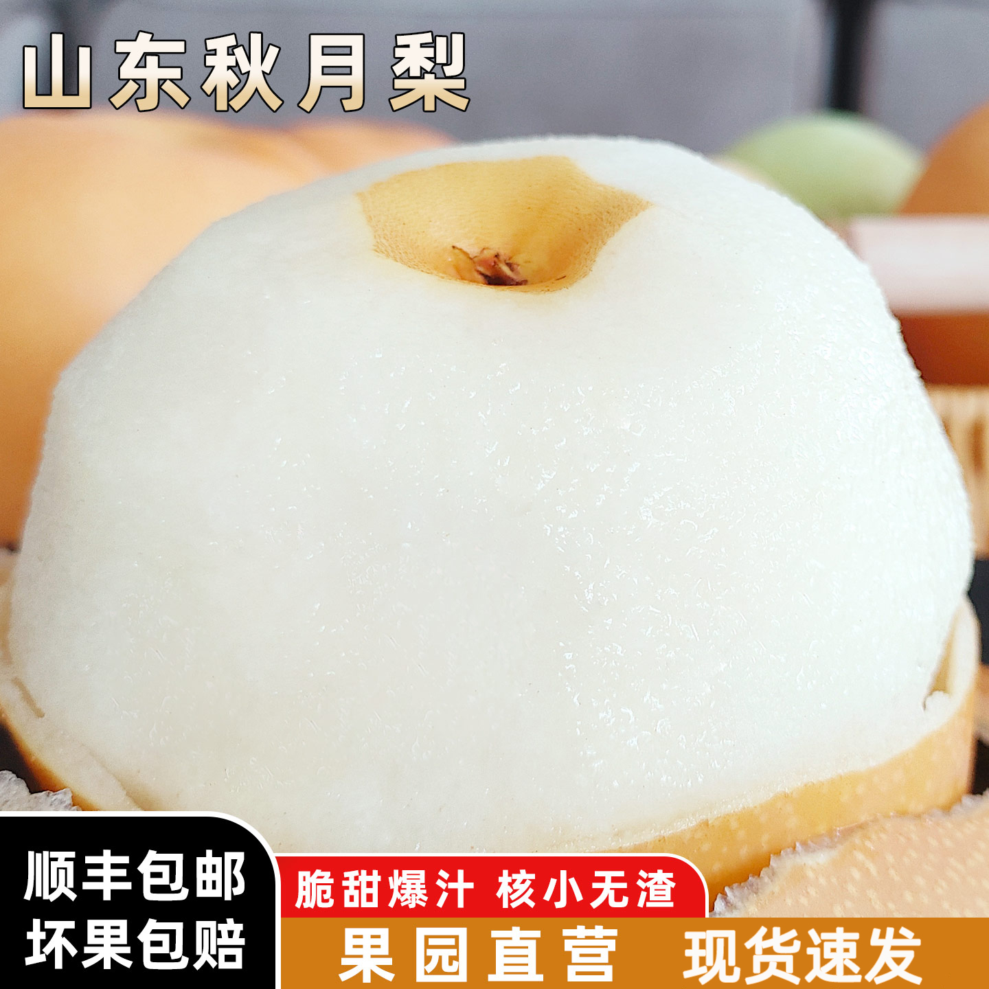 秋月梨新鲜正宗甜脆爆汁顺丰包邮