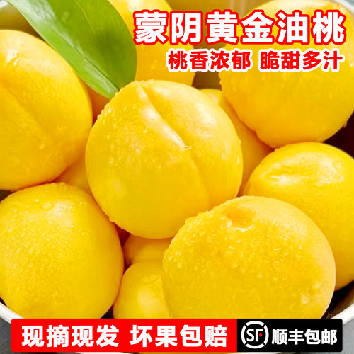 甜桃露天黄油桃蒙阴蜜桃黄金油桃