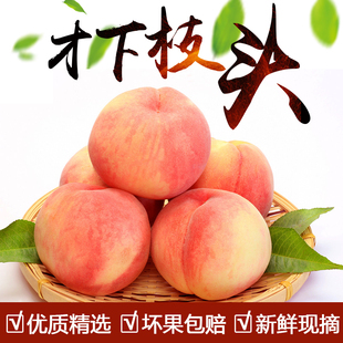 蒙阴蜜桃9号大红桃甜蜜多汁软桃结实蜜桃新鲜水果毛桃5斤顺丰