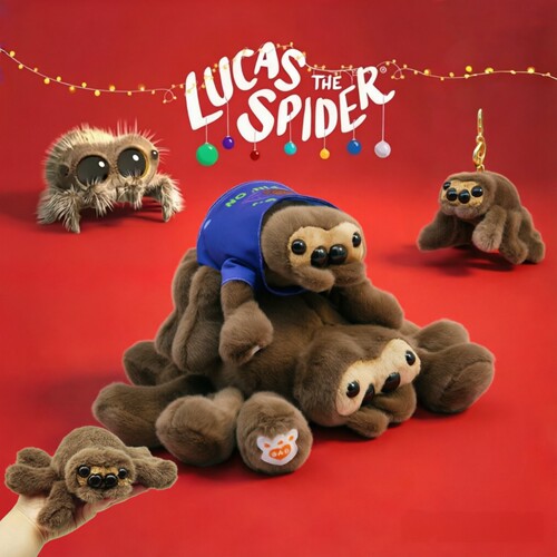 Lucas the Spider小蜘蛛卢卡斯毛绒玩具jumping spider跳跳蜘蛛