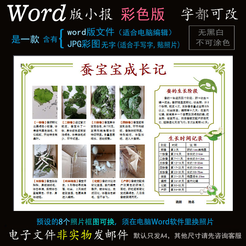 D127养蚕小报电子版Word模板电脑手抄报小动物蚕一生长成长简报