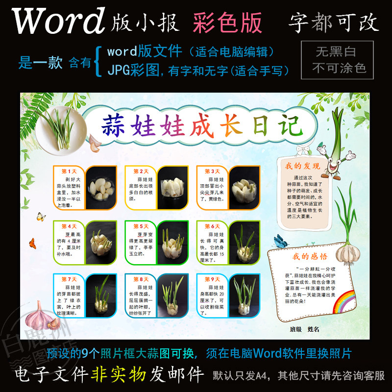 z114蒜苗生长小报电子版word模板电脑手抄植物大蒜成长观察简报高性价比高么？