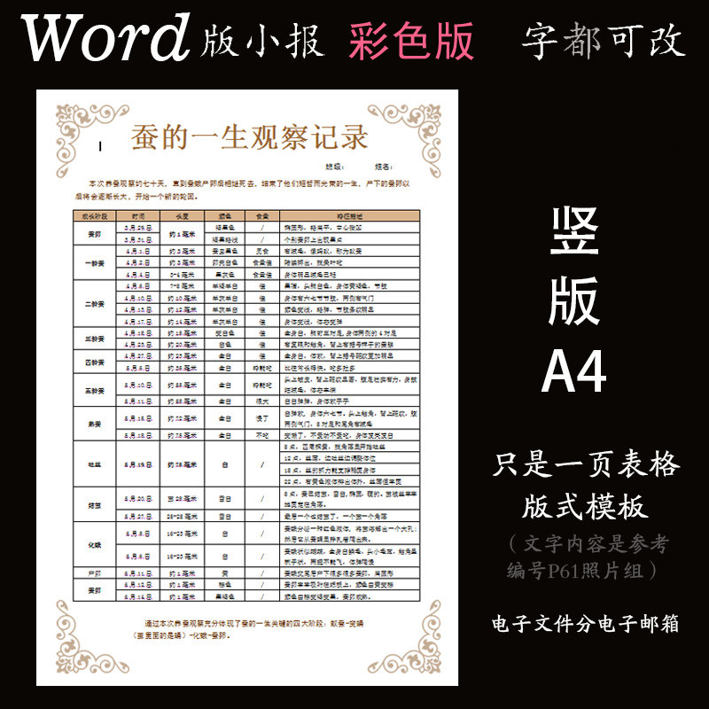 z158蚕的一生观察记录表word模板表格版式模板养蚕记简报竖版一页