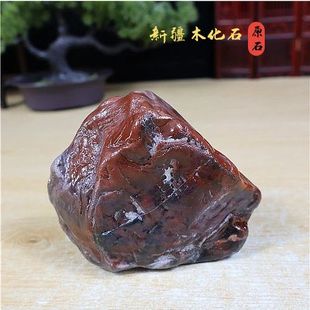 超值精品新疆木化石 原石自然石 鱼缸石  盆景石 一件也包邮 石头