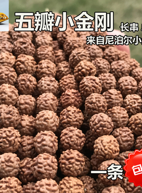 小金刚菩提子108颗红皮佛珠原籽
