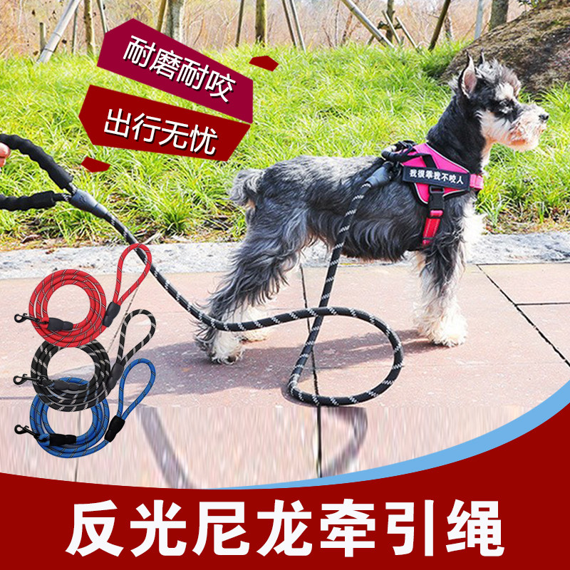 贝特赫斯遛狗牵引绳子