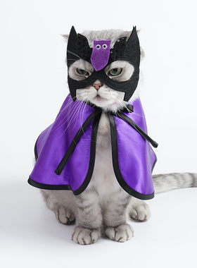 猫咪万圣节面具披风套装狗狗搞怪蝙蝠斗篷宠物节日派对狂欢服装