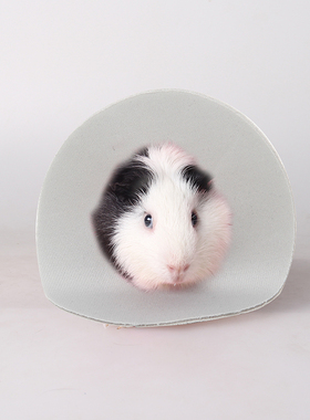 小白鼠头套实验室小鼠伊丽莎白圈防咬圈超小鼠脖套防舔伤口保护头