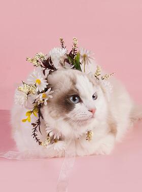 宠物头饰花环狗狗簪花猫咪装扮婚礼装饰新年氛围装饰拍照道具春季