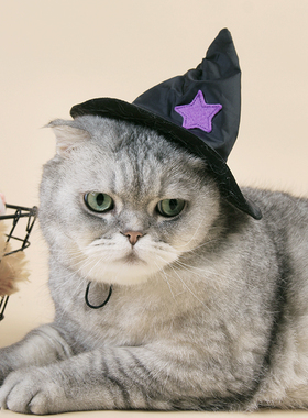 万圣节猫咪小狗狗黑色紫星帽子酷猫可爱披风衣服魔法巫师头套装饰